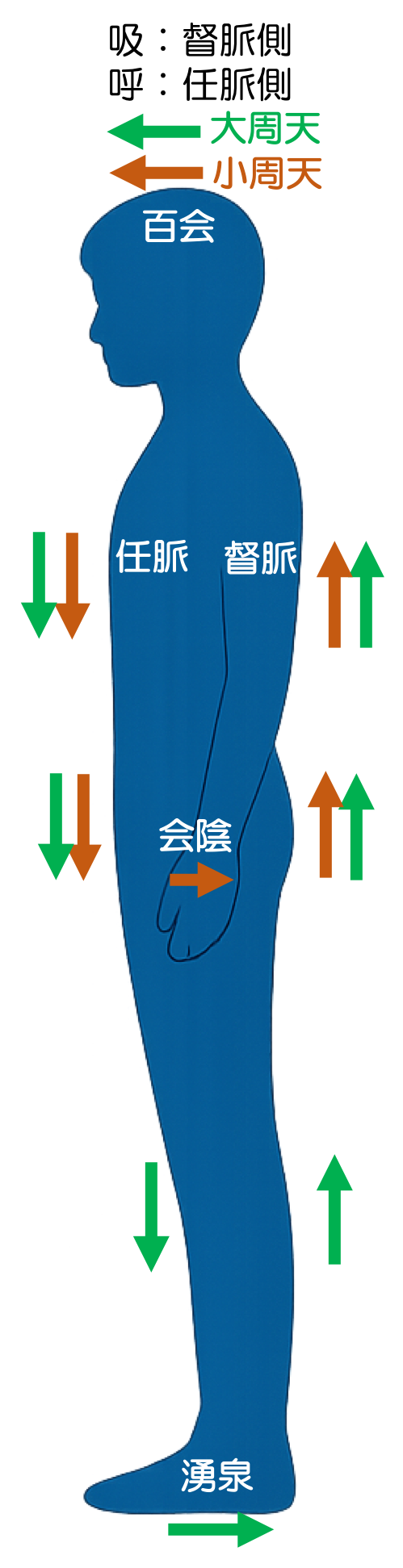 大周天と小周天